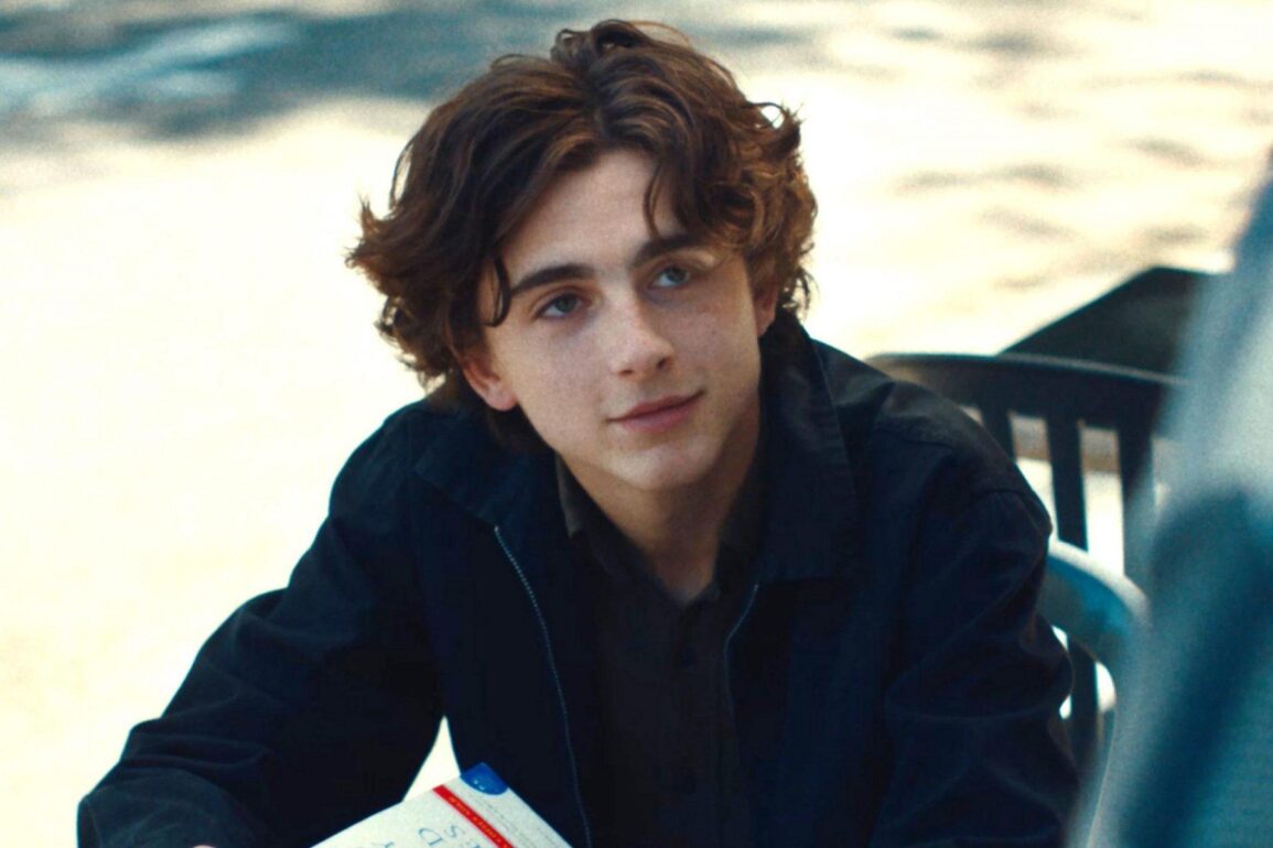 Timothée Chalamet Don T Look Up Timothée Chalamet'in Don't Look Up filmindeki rolü açıklandı – Seyrederiz