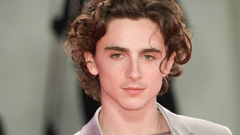 Timothée Chalamet Don T Look Up Timothée Chalamet'in Don't Look Up filmindeki rolü açıklandı – Seyrederiz